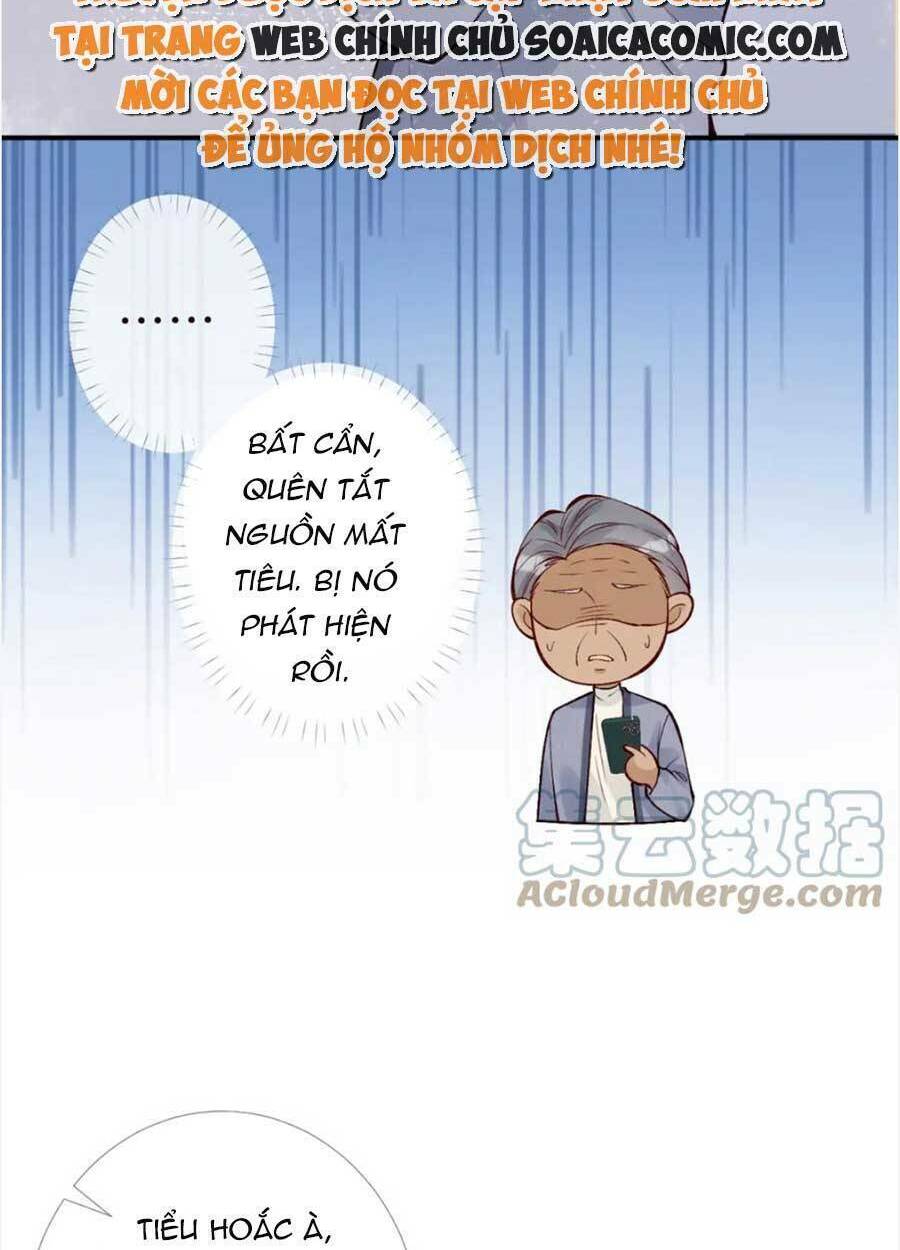 Ôm Khẩn Tiểu Mã Giáp Của Tôi Chapter 102 - Trang 2