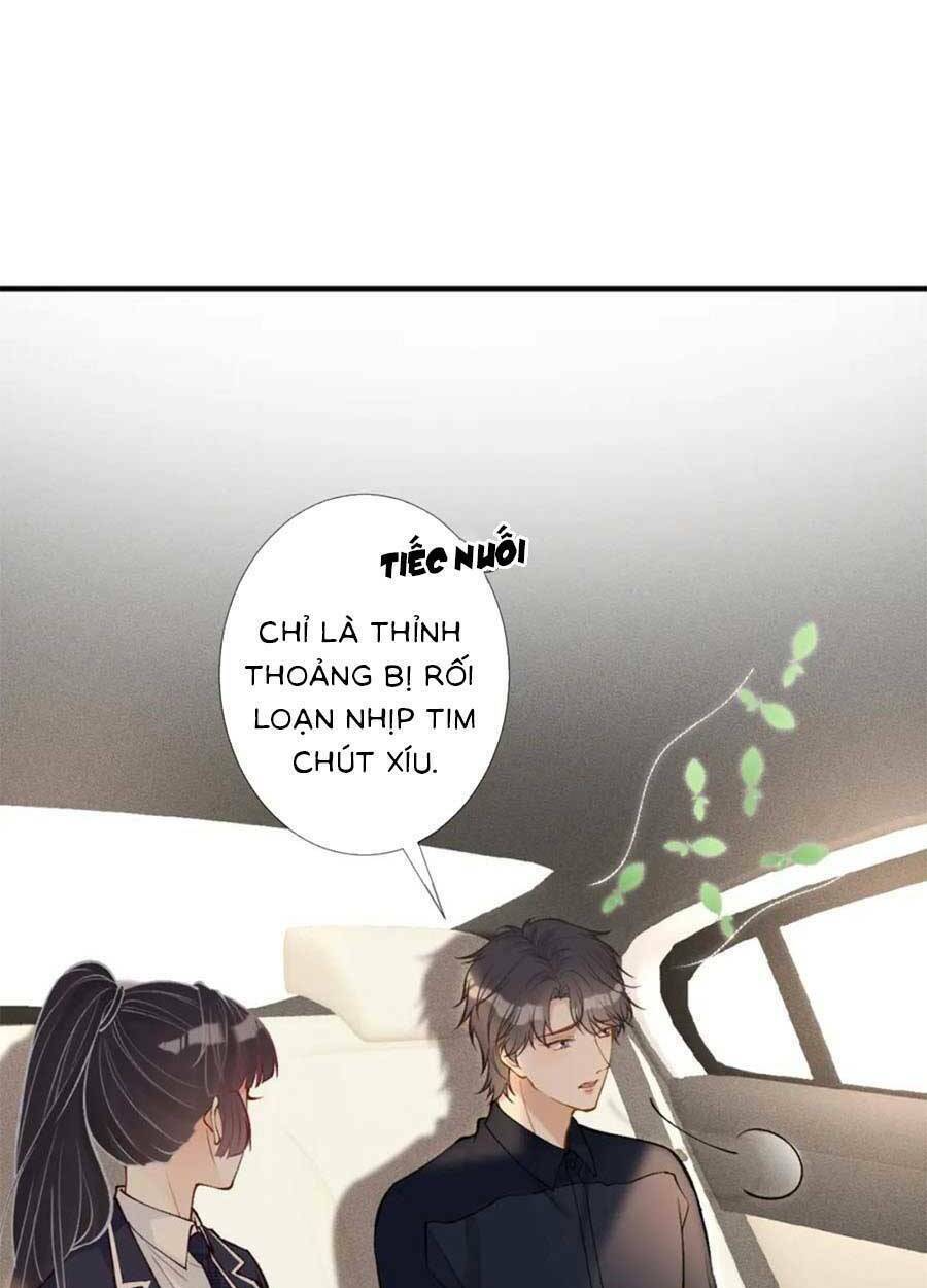 Ôm Khẩn Tiểu Mã Giáp Của Tôi Chapter 106 - Trang 2