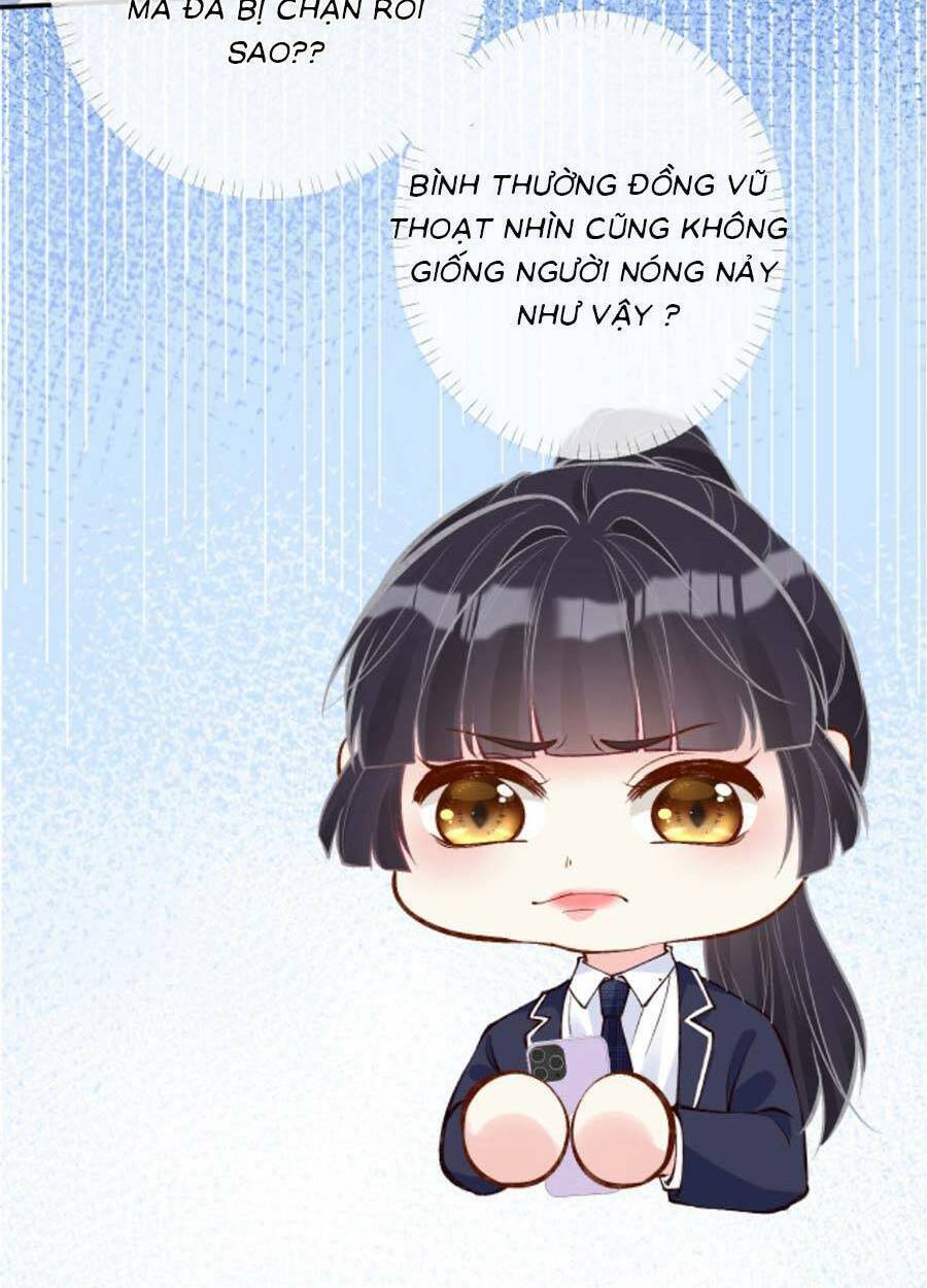 Ôm Khẩn Tiểu Mã Giáp Của Tôi Chapter 108 - Trang 2