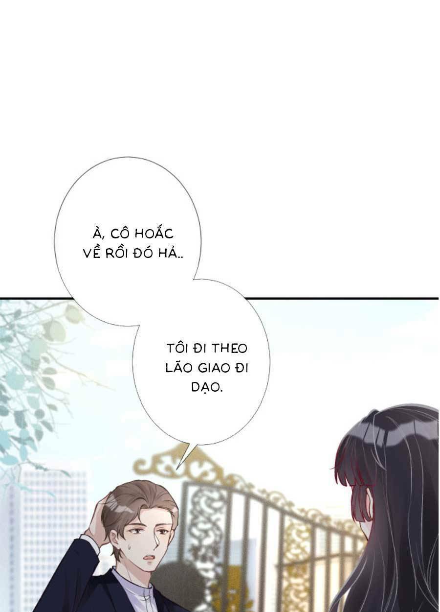 Ôm Khẩn Tiểu Mã Giáp Của Tôi Chapter 112 - Trang 2