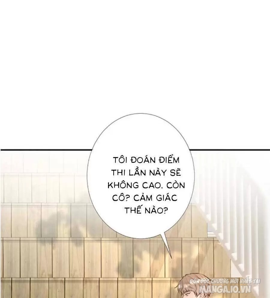 Ôm Khẩn Tiểu Mã Giáp Của Tôi Chapter 114-115 - Trang 2