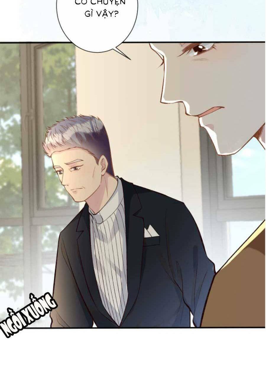 Ôm Khẩn Tiểu Mã Giáp Của Tôi Chapter 121 - Trang 2