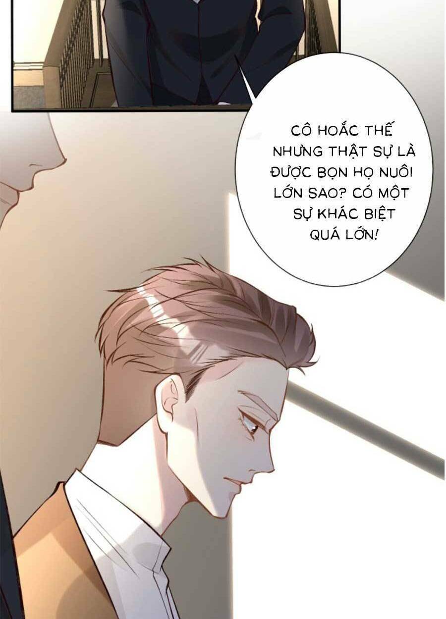 Ôm Khẩn Tiểu Mã Giáp Của Tôi Chapter 121 - Trang 2