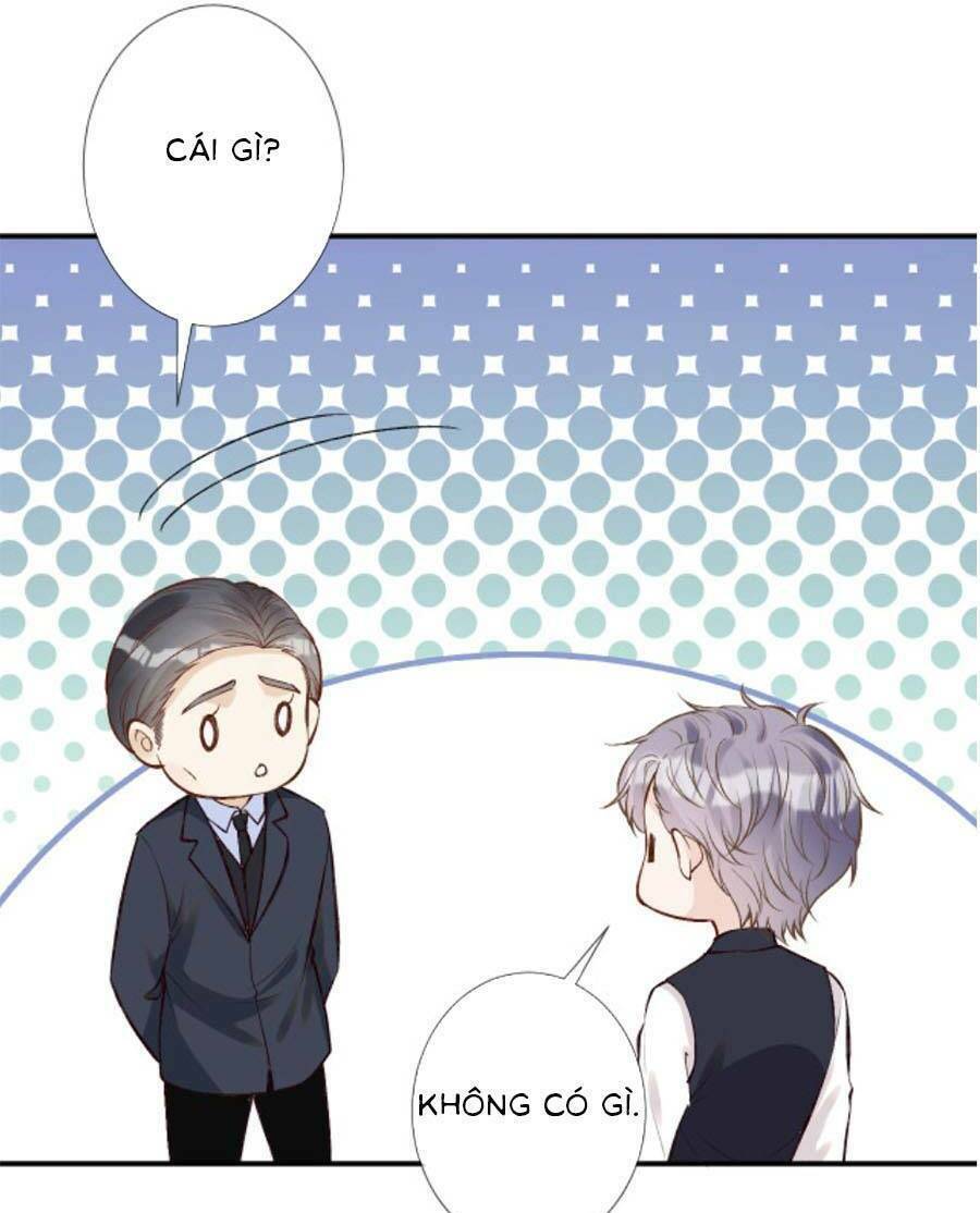 Ôm Khẩn Tiểu Mã Giáp Của Tôi Chapter 136 - Trang 2