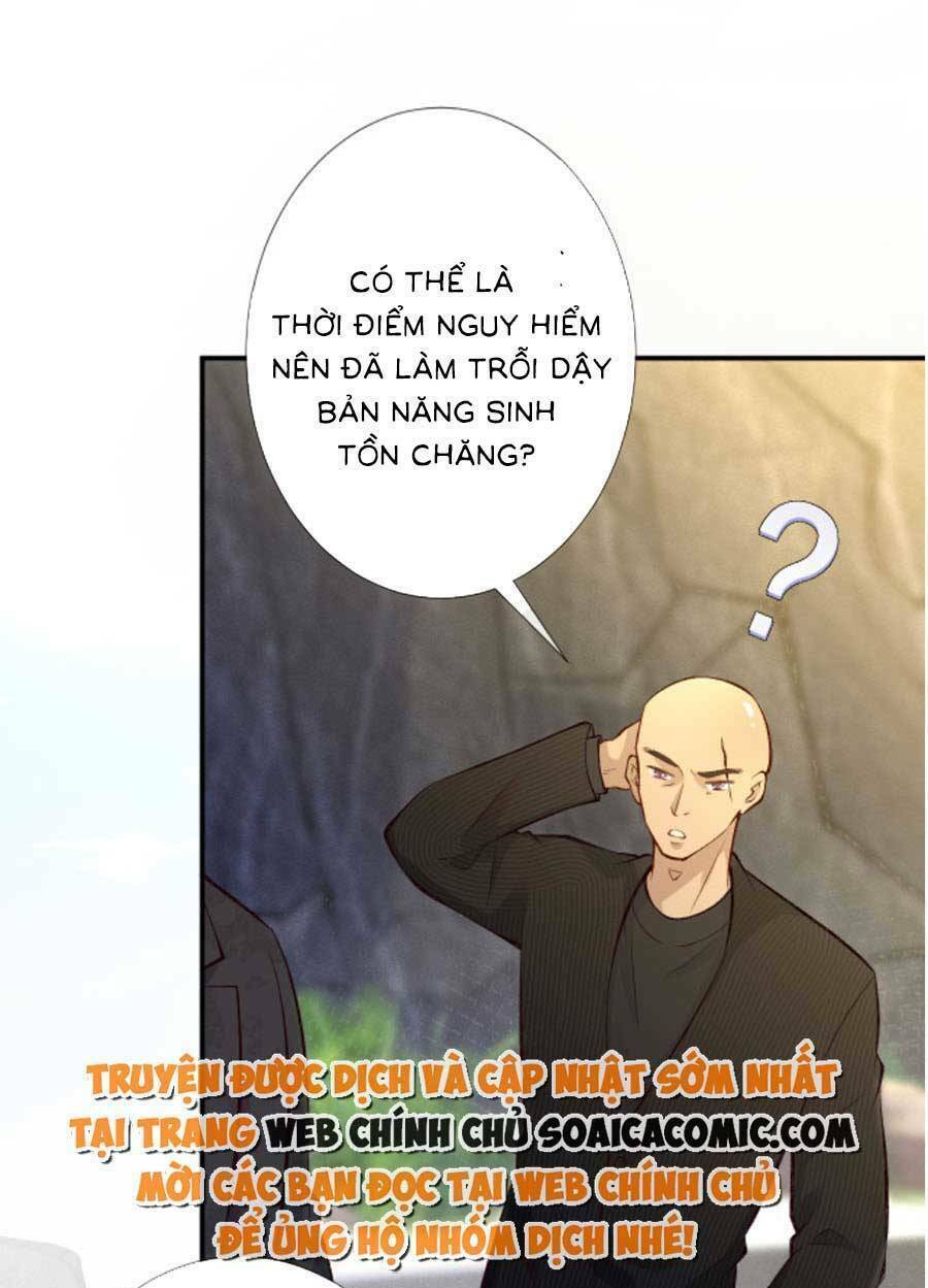 Ôm Khẩn Tiểu Mã Giáp Của Tôi Chapter 142 - Trang 2