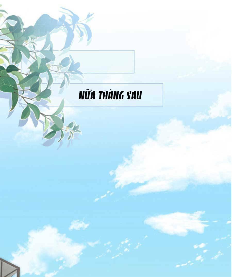 Ôm Khẩn Tiểu Mã Giáp Của Tôi Chapter 145 - Trang 2