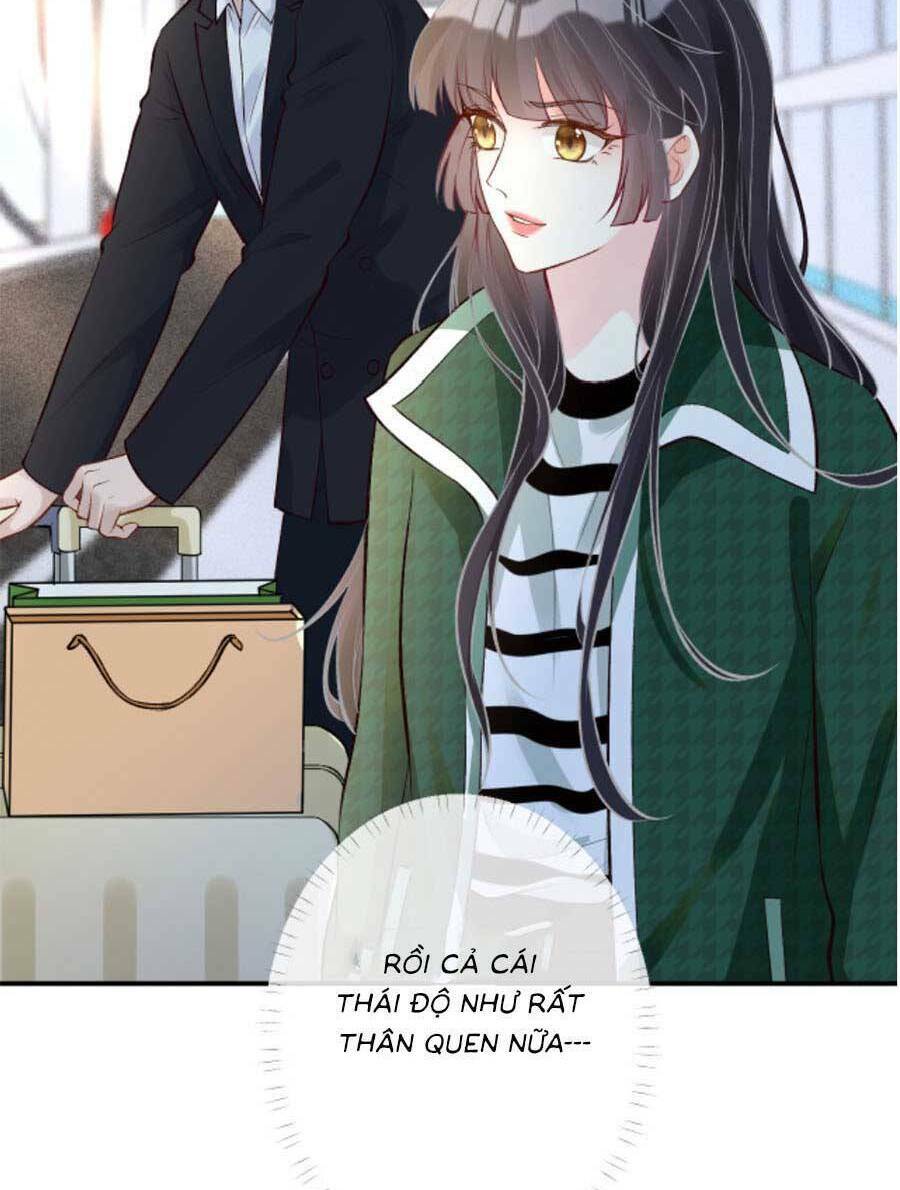 Ôm Khẩn Tiểu Mã Giáp Của Tôi Chapter 145 - Trang 2