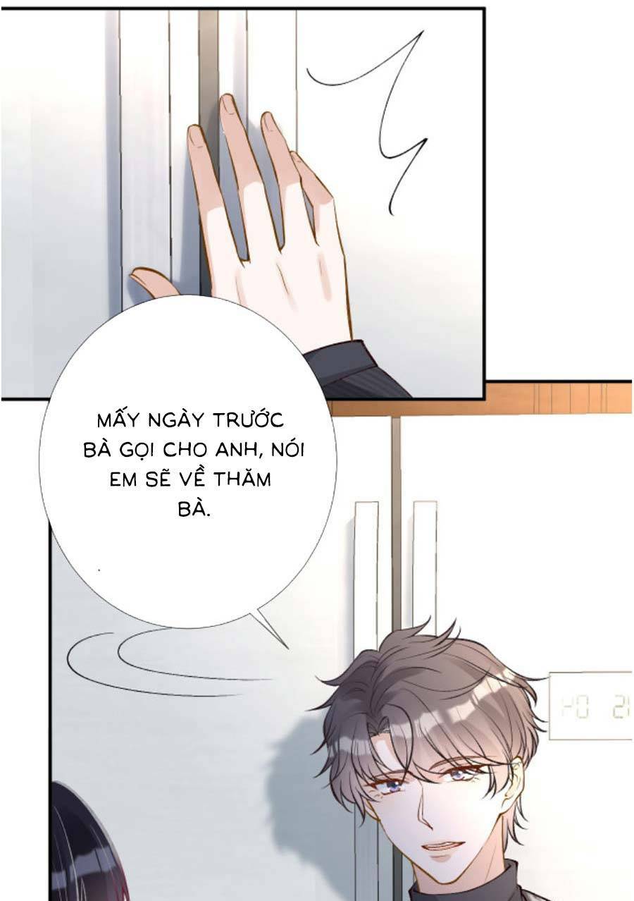 Ôm Khẩn Tiểu Mã Giáp Của Tôi Chapter 146 - Trang 2