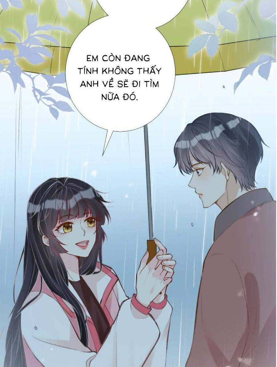 Ôm Khẩn Tiểu Mã Giáp Của Tôi Chapter 147 - Trang 2