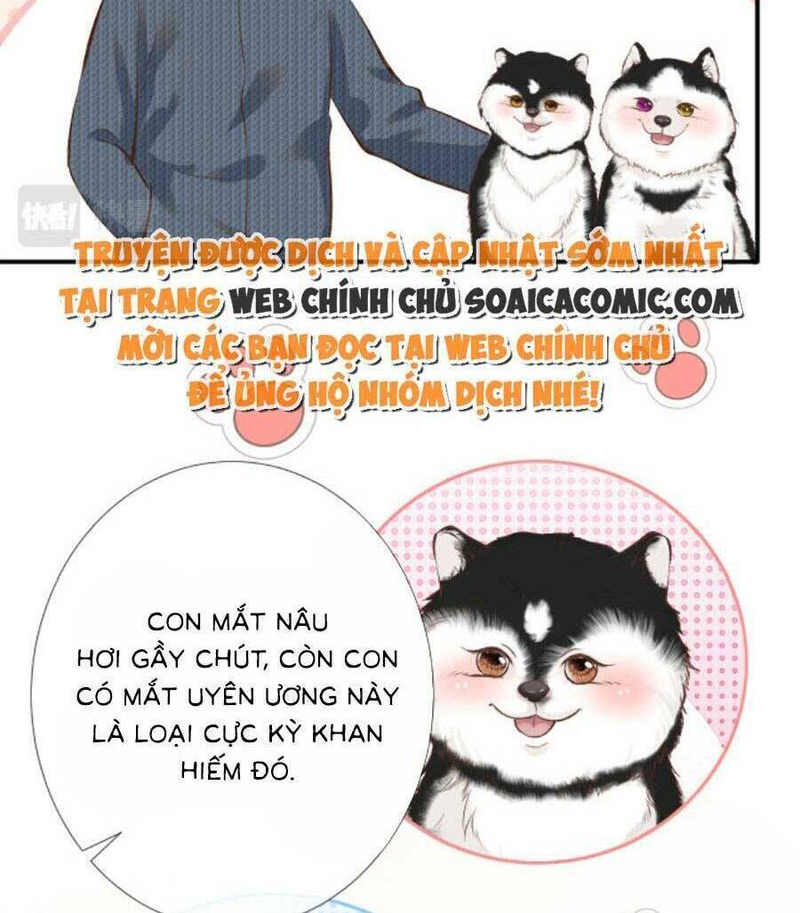 Ôm Khẩn Tiểu Mã Giáp Của Tôi Chapter 155 - Trang 2