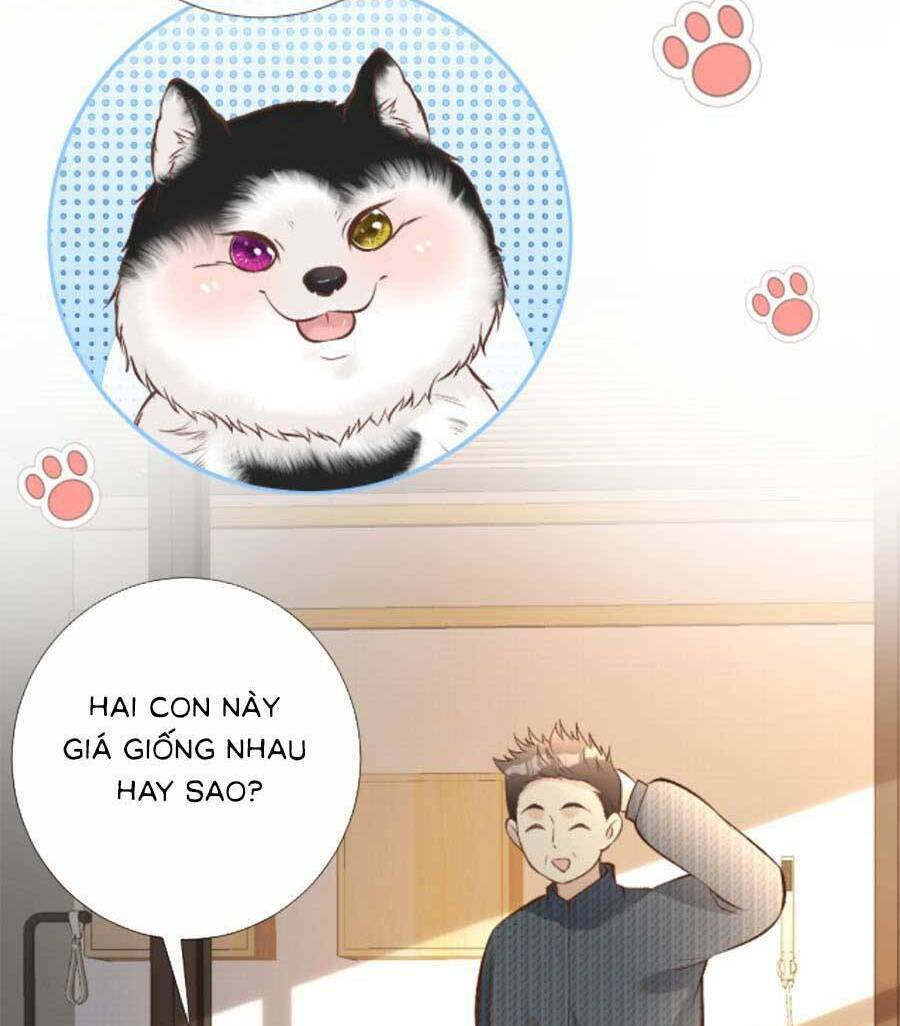 Ôm Khẩn Tiểu Mã Giáp Của Tôi Chapter 155 - Trang 2