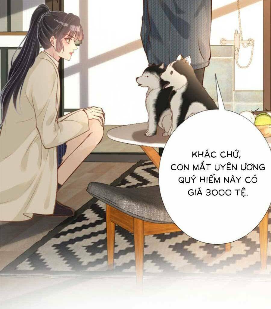 Ôm Khẩn Tiểu Mã Giáp Của Tôi Chapter 155 - Trang 2