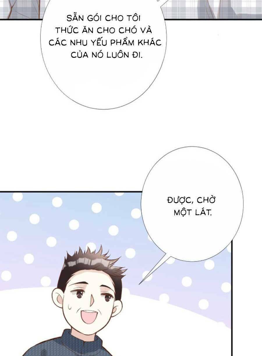 Ôm Khẩn Tiểu Mã Giáp Của Tôi Chapter 155 - Trang 2