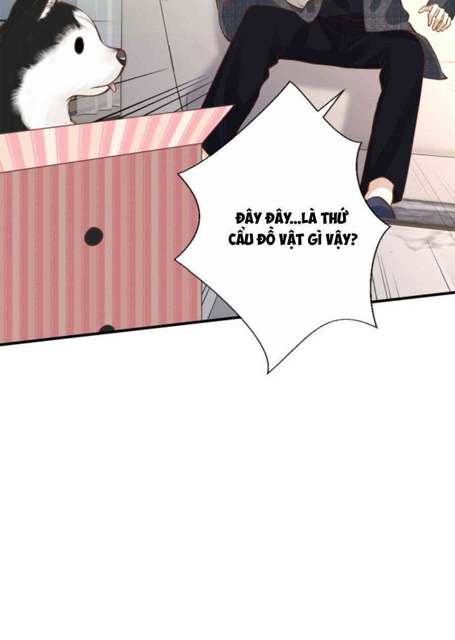 Ôm Khẩn Tiểu Mã Giáp Của Tôi Chapter 155 - Trang 2