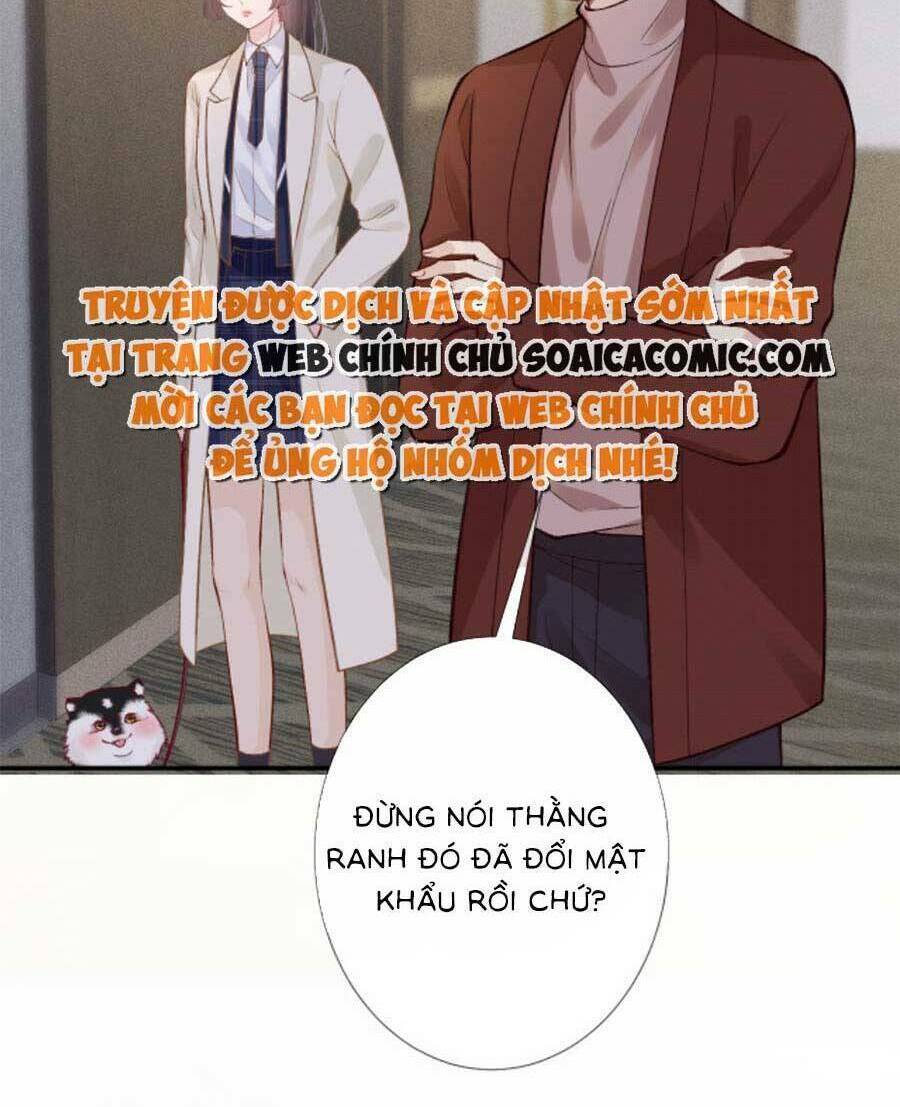 Ôm Khẩn Tiểu Mã Giáp Của Tôi Chapter 156 - Trang 2