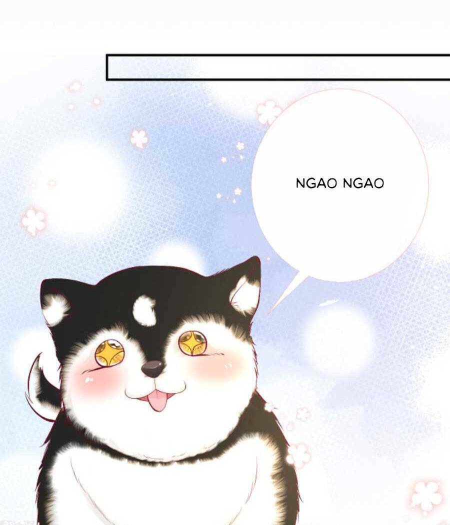 Ôm Khẩn Tiểu Mã Giáp Của Tôi Chapter 156 - Trang 2