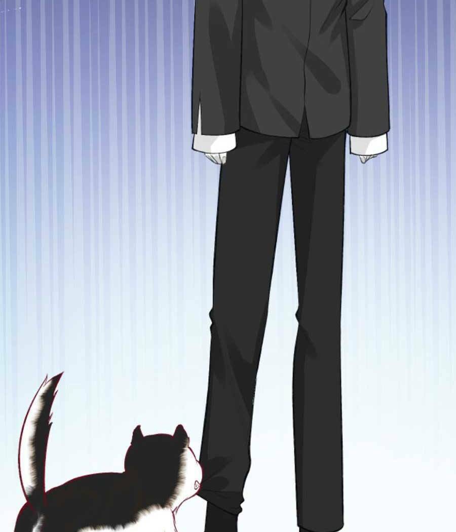 Ôm Khẩn Tiểu Mã Giáp Của Tôi Chapter 156 - Trang 2