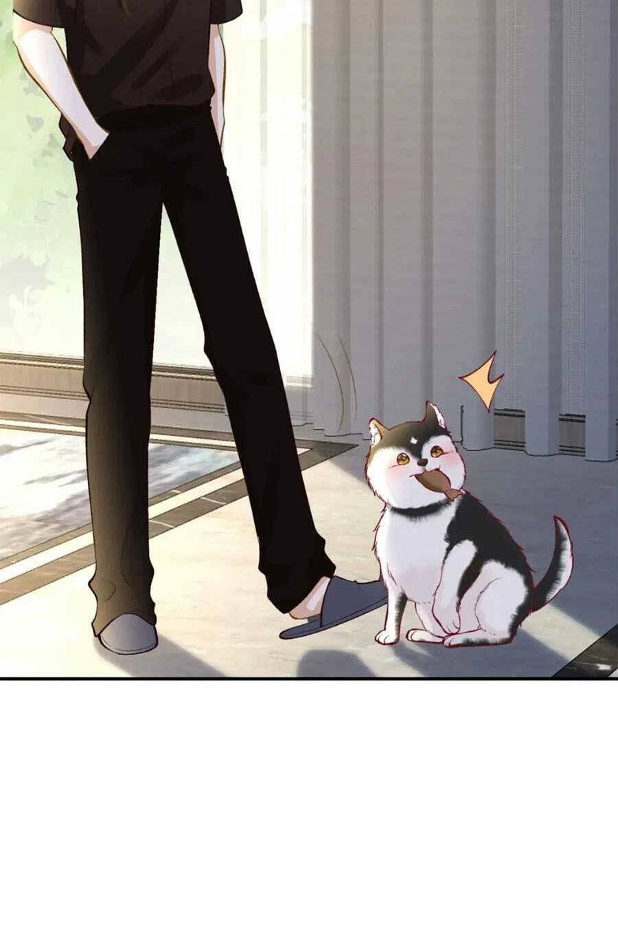 Ôm Khẩn Tiểu Mã Giáp Của Tôi Chapter 157 - Trang 2