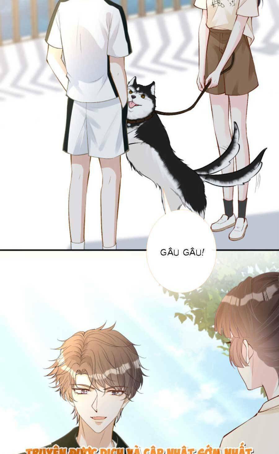 Ôm Khẩn Tiểu Mã Giáp Của Tôi Chapter 159 - Trang 2