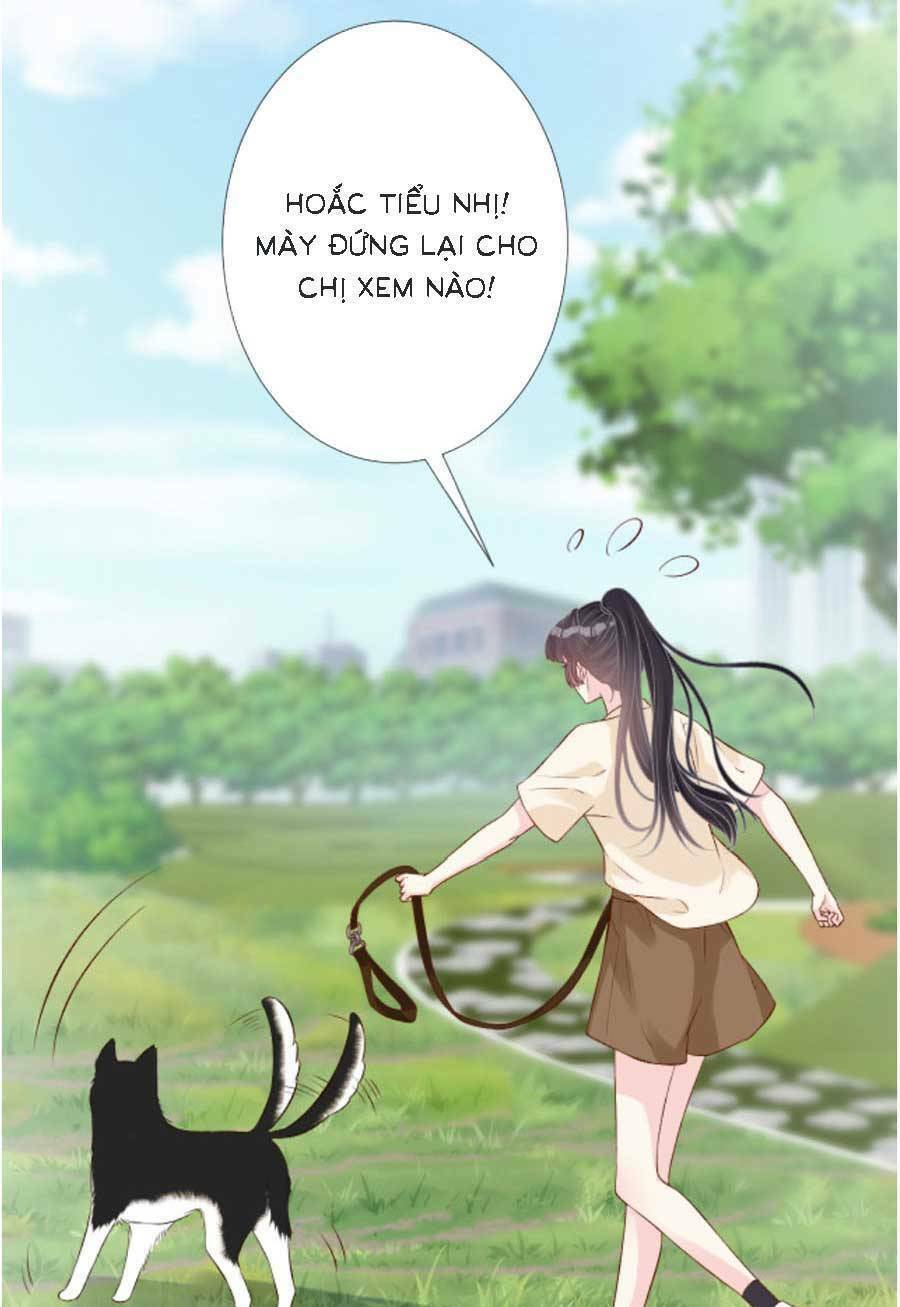 Ôm Khẩn Tiểu Mã Giáp Của Tôi Chapter 159 - Trang 2