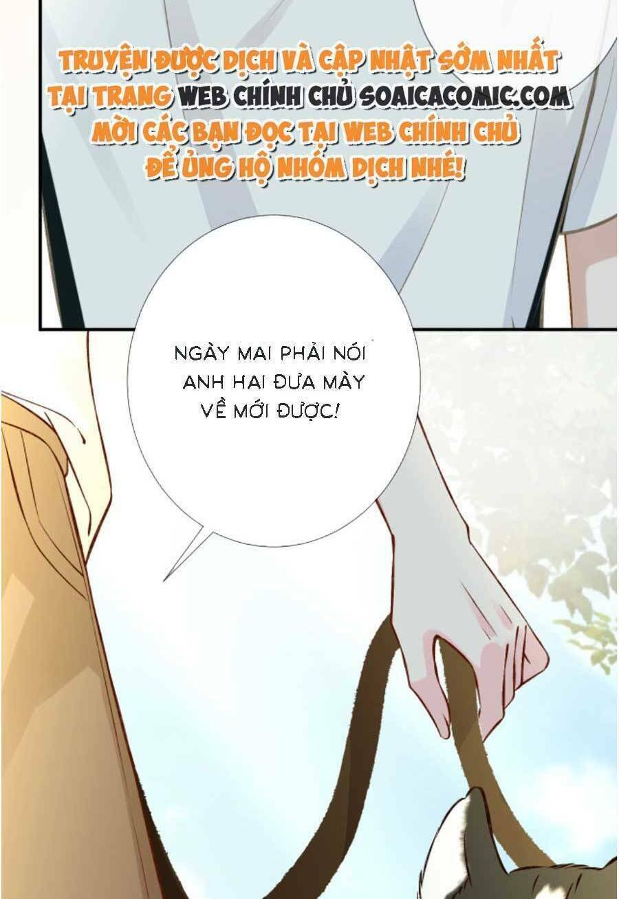 Ôm Khẩn Tiểu Mã Giáp Của Tôi Chapter 159 - Trang 2