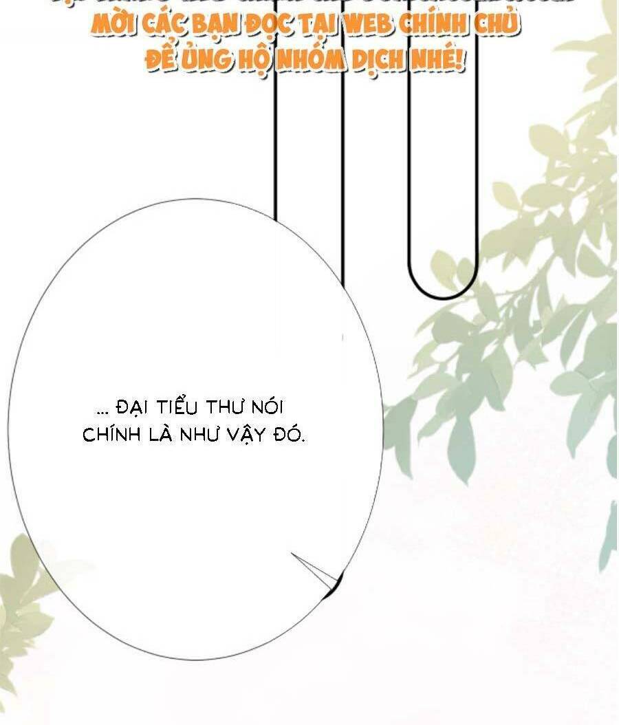 Ôm Khẩn Tiểu Mã Giáp Của Tôi Chapter 164 - Trang 2