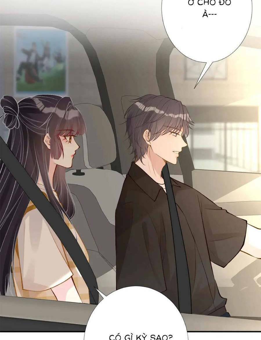 Ôm Khẩn Tiểu Mã Giáp Của Tôi Chapter 166 - Trang 2