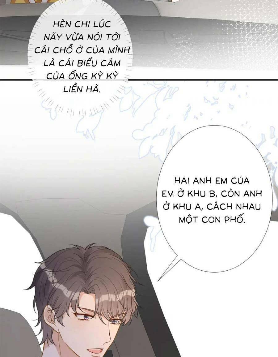 Ôm Khẩn Tiểu Mã Giáp Của Tôi Chapter 166 - Trang 2