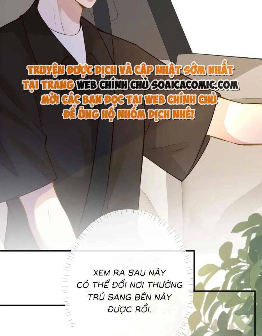 Ôm Khẩn Tiểu Mã Giáp Của Tôi Chapter 166 - Trang 2