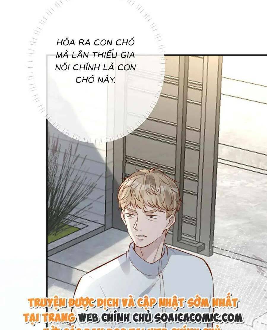 Ôm Khẩn Tiểu Mã Giáp Của Tôi Chapter 166 - Trang 2