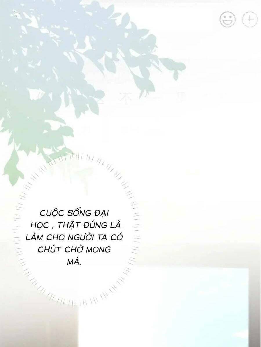 Ôm Khẩn Tiểu Mã Giáp Của Tôi Chapter 166 - Trang 2