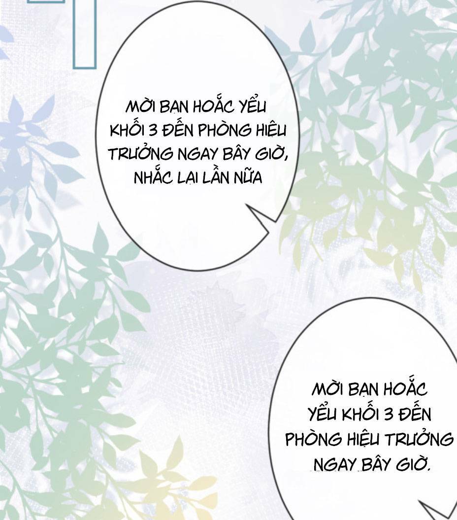 Ôm Khẩn Tiểu Mã Giáp Của Tôi Chapter 17 - Trang 2