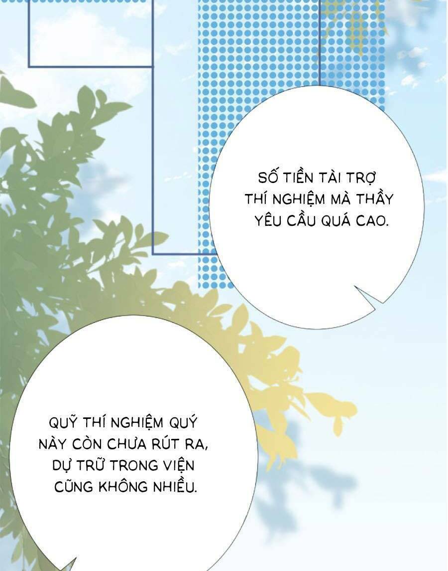 Ôm Khẩn Tiểu Mã Giáp Của Tôi Chapter 170 - Trang 2