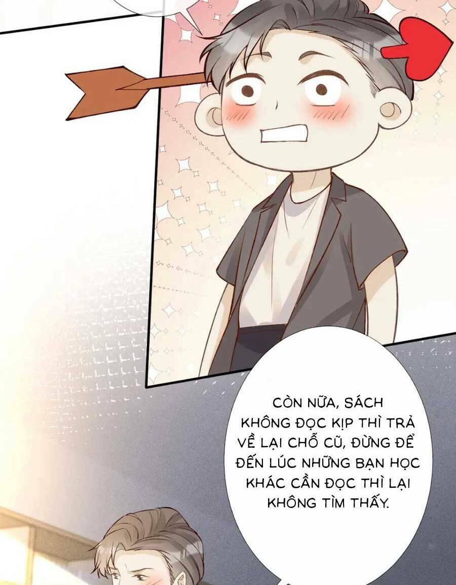 Ôm Khẩn Tiểu Mã Giáp Của Tôi Chapter 171 - Trang 2