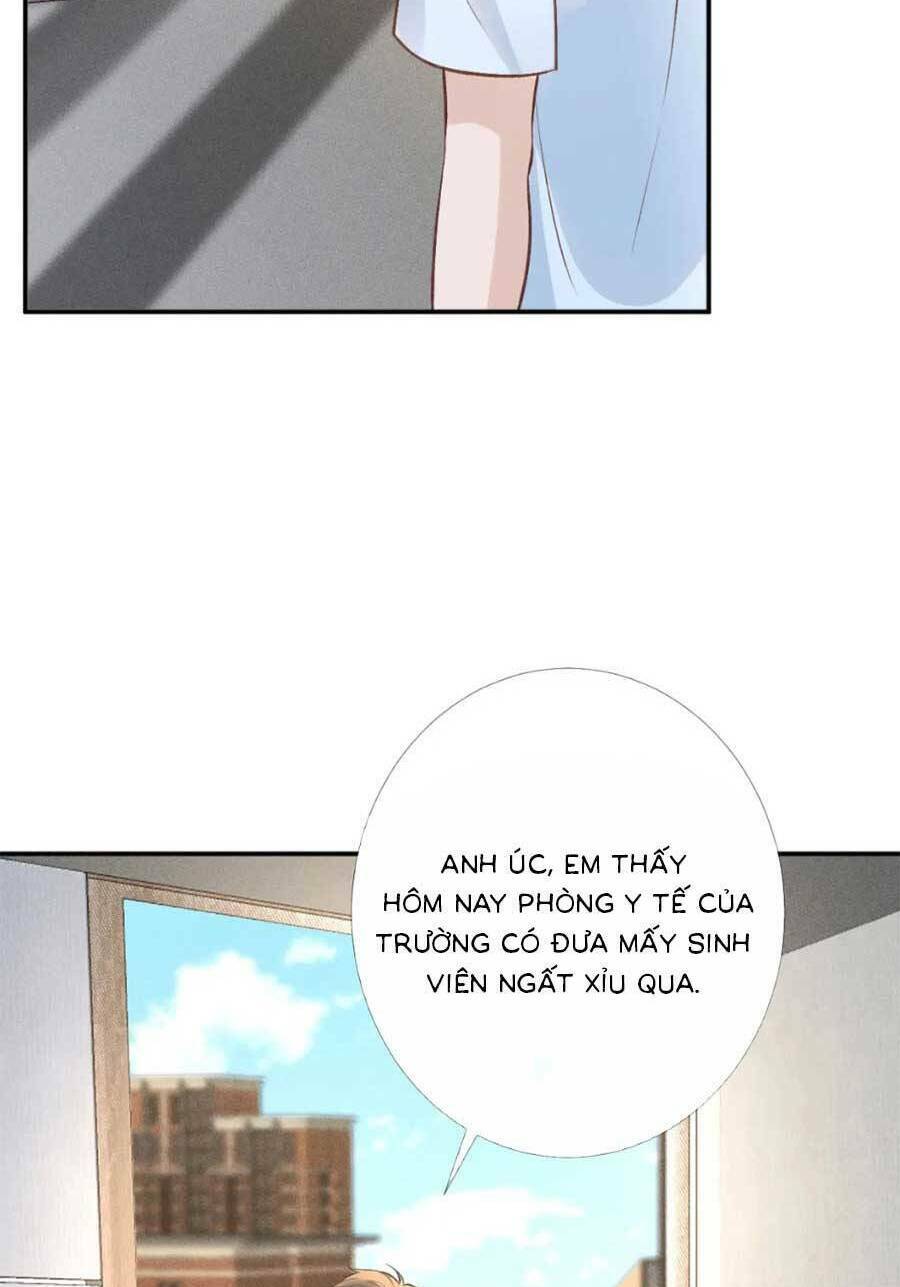 Ôm Khẩn Tiểu Mã Giáp Của Tôi Chapter 172 - Trang 2