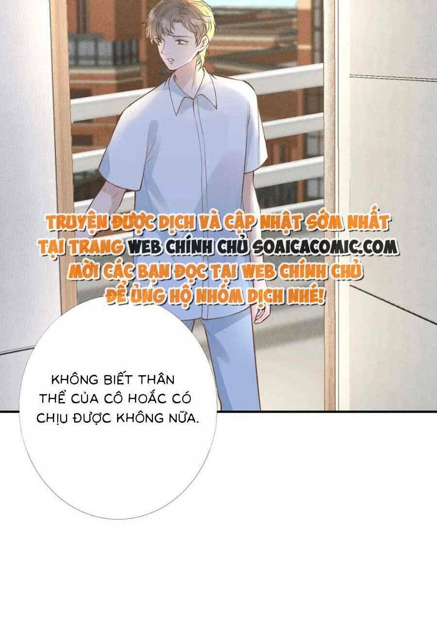 Ôm Khẩn Tiểu Mã Giáp Của Tôi Chapter 172 - Trang 2