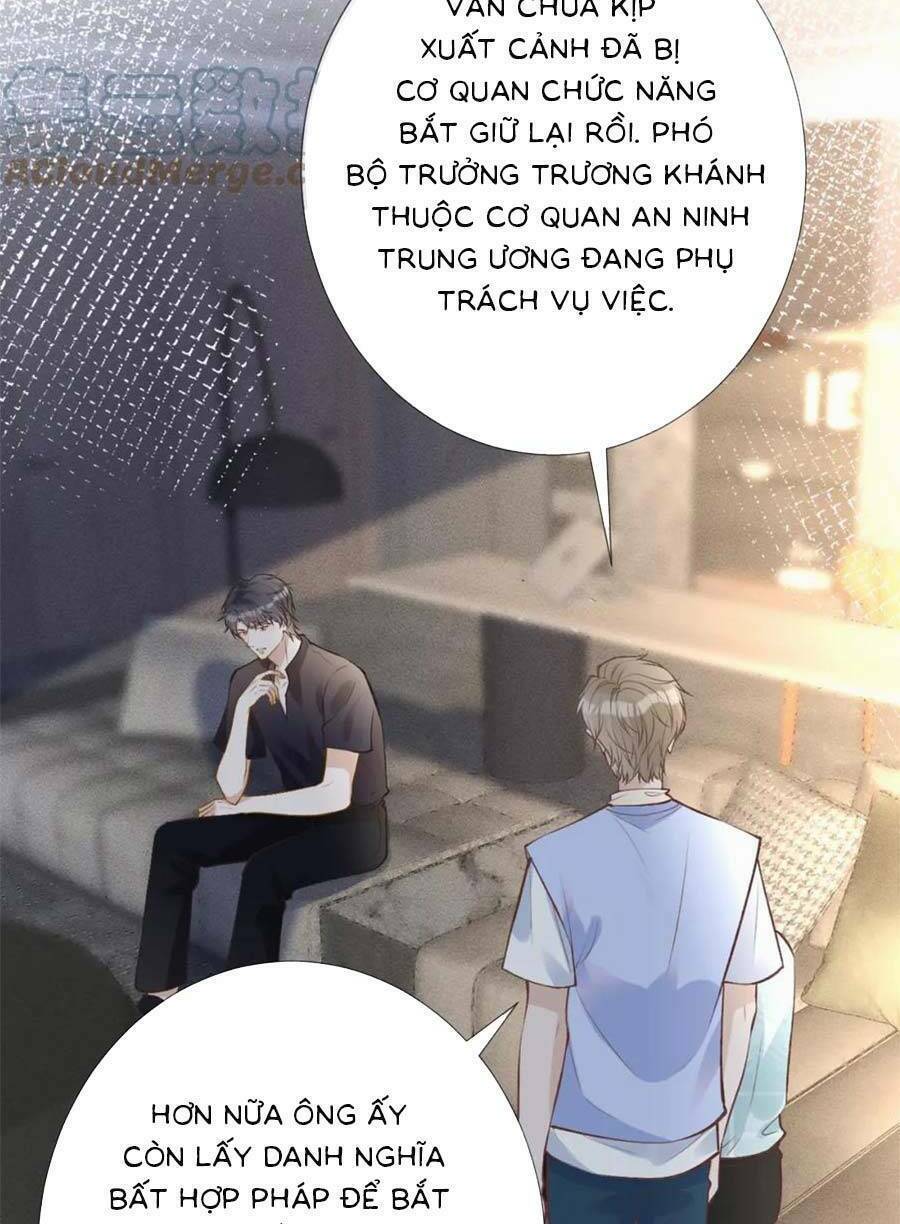 Ôm Khẩn Tiểu Mã Giáp Của Tôi Chapter 178 - Trang 2