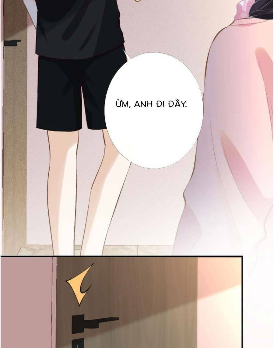 Ôm Khẩn Tiểu Mã Giáp Của Tôi Chapter 179 - Trang 2