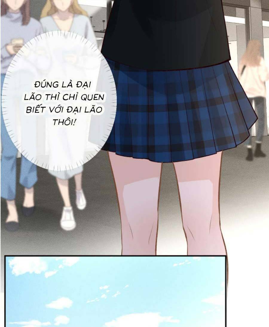 Ôm Khẩn Tiểu Mã Giáp Của Tôi Chapter 186 - Trang 2