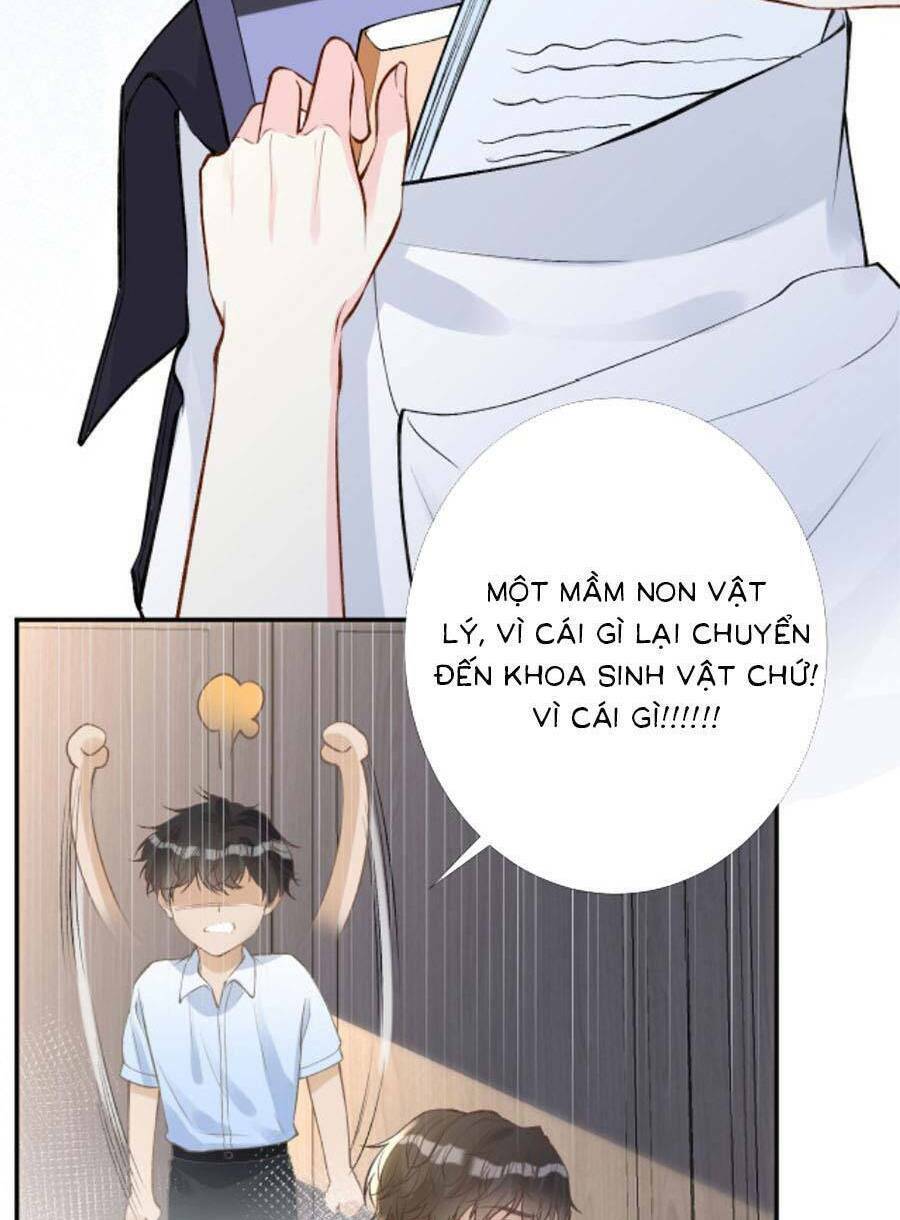 Ôm Khẩn Tiểu Mã Giáp Của Tôi Chapter 186 - Trang 2