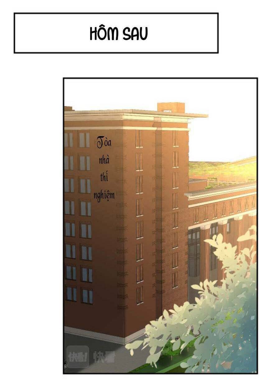 Ôm Khẩn Tiểu Mã Giáp Của Tôi Chapter 187 - Trang 2