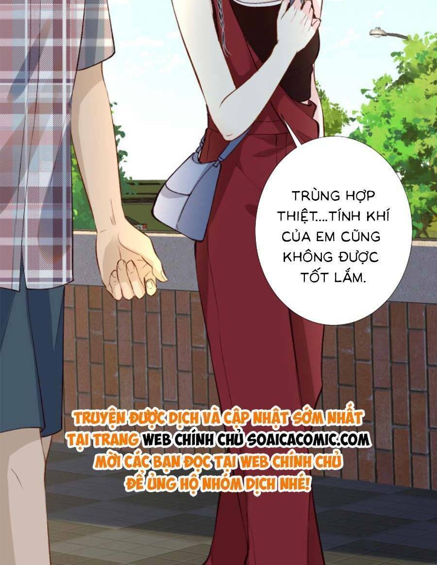 Ôm Khẩn Tiểu Mã Giáp Của Tôi Chapter 190 - Trang 2