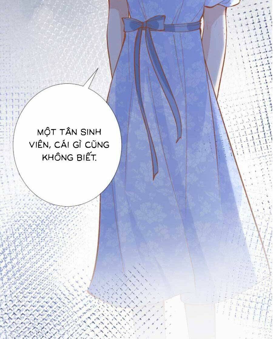 Ôm Khẩn Tiểu Mã Giáp Của Tôi Chapter 193 - Trang 2