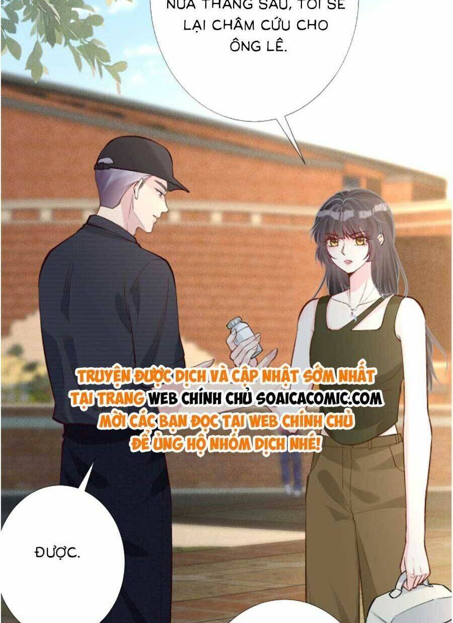 Ôm Khẩn Tiểu Mã Giáp Của Tôi Chapter 194 - Trang 2