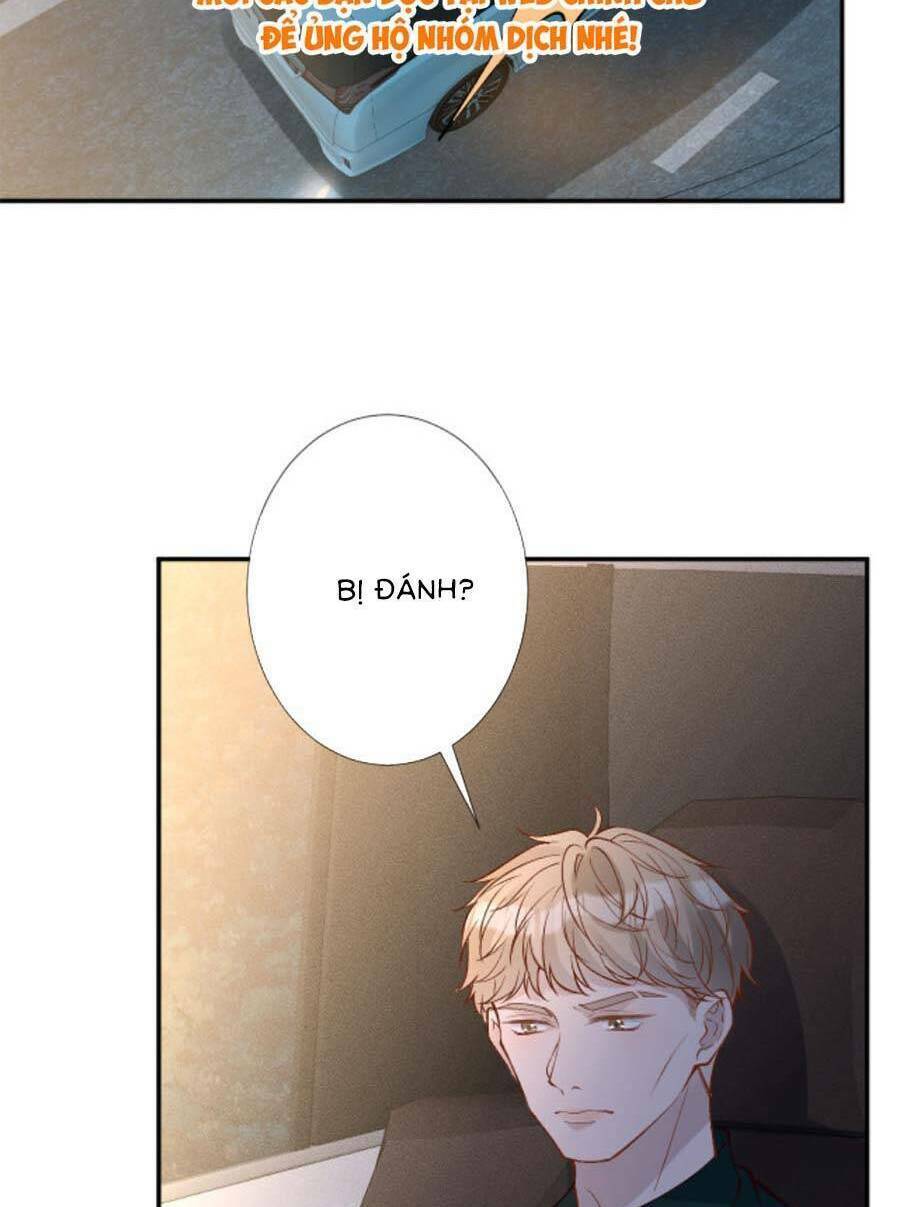 Ôm Khẩn Tiểu Mã Giáp Của Tôi Chapter 196 - Trang 2