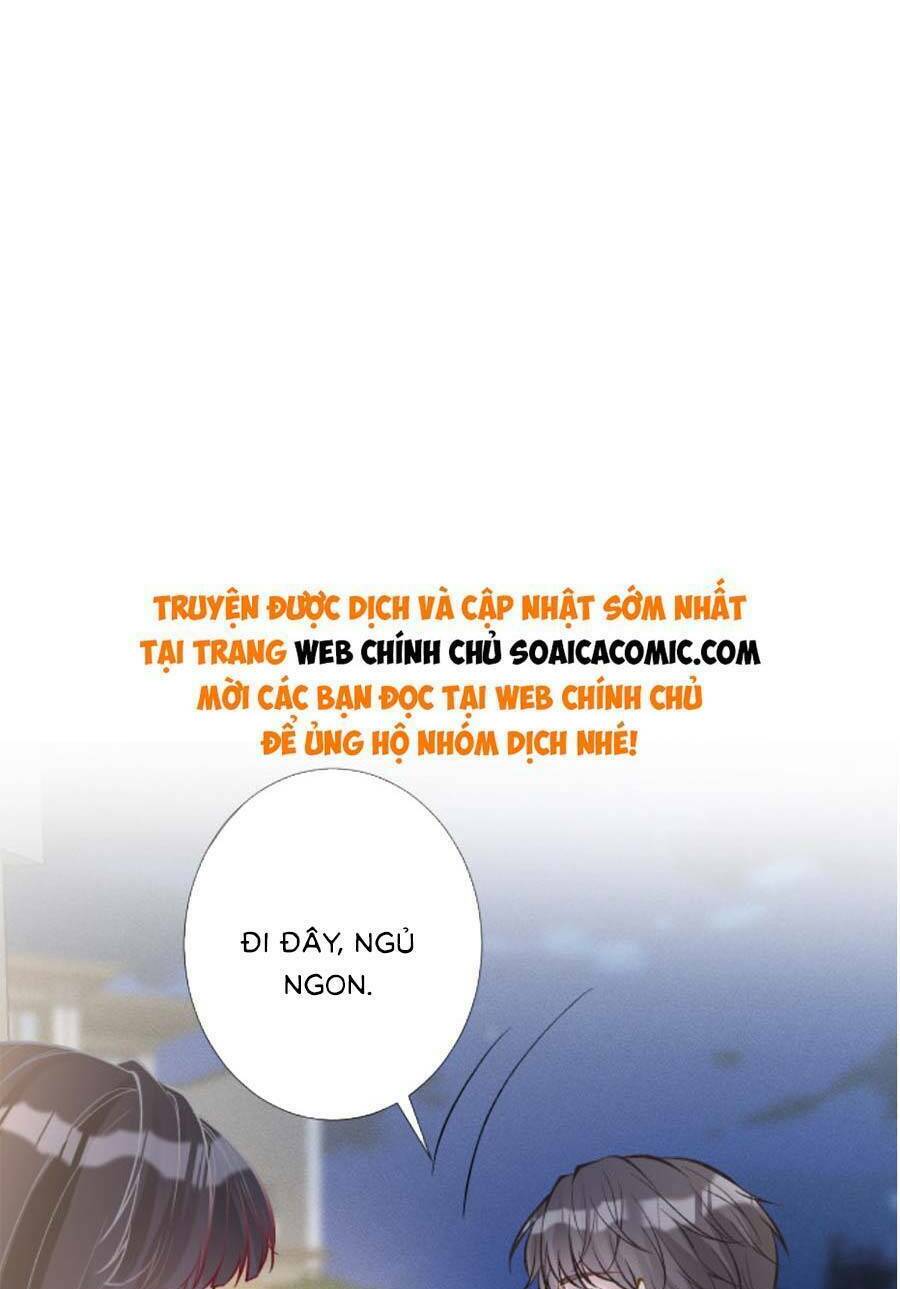 Ôm Khẩn Tiểu Mã Giáp Của Tôi Chapter 197 - Trang 2