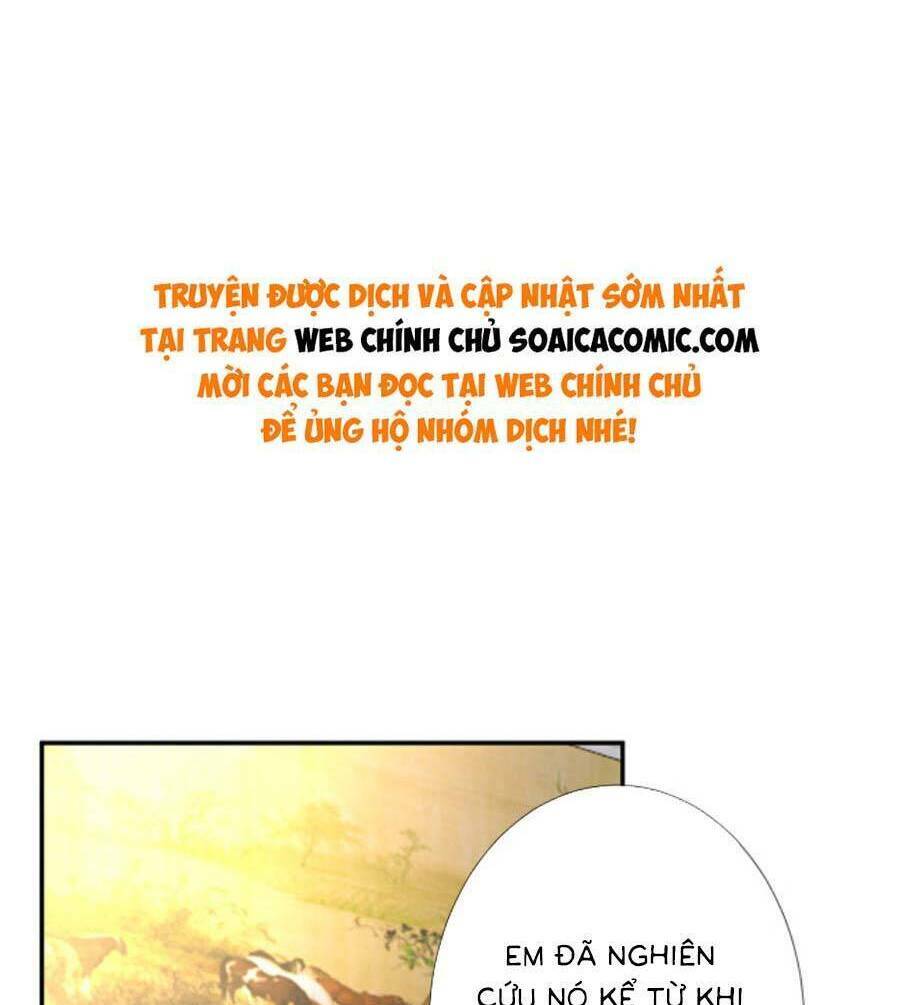 Ôm Khẩn Tiểu Mã Giáp Của Tôi Chapter 198 - Trang 2