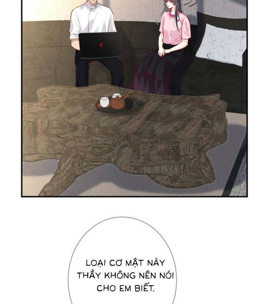 Ôm Khẩn Tiểu Mã Giáp Của Tôi Chapter 198 - Trang 2