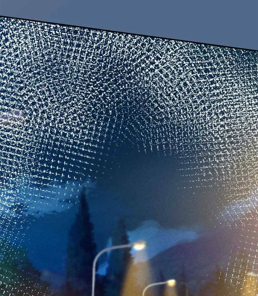 Ôm Khẩn Tiểu Mã Giáp Của Tôi Chapter 201 - Trang 2