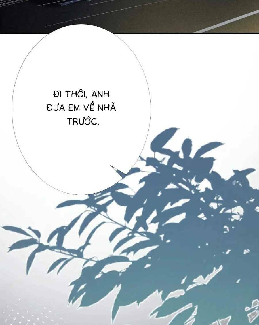 Ôm Khẩn Tiểu Mã Giáp Của Tôi Chapter 201 - Trang 2